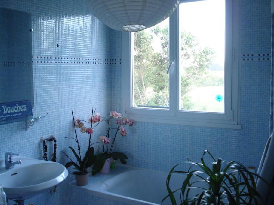 Logement Avec Jardin De Bord Mer Port Navalo Arzon Buitenkant foto
